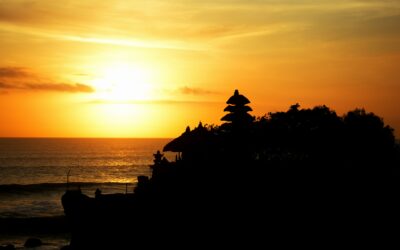 Blog 2